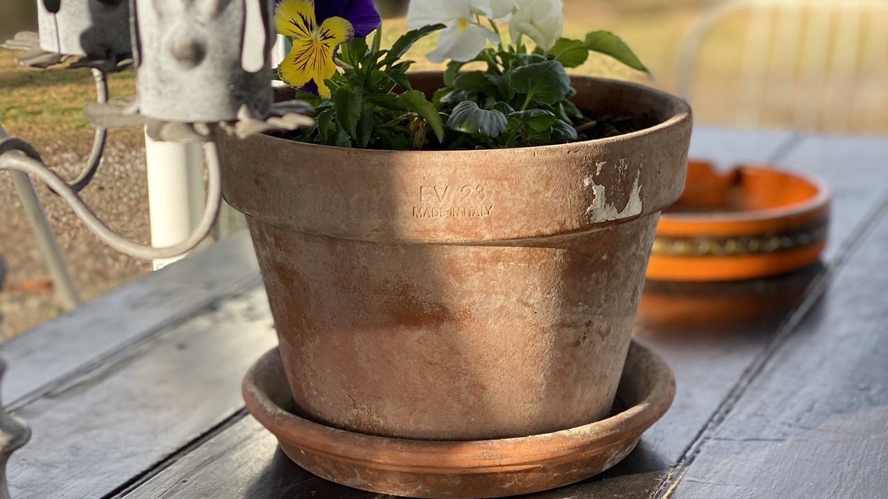 Photo of Others in Perthville