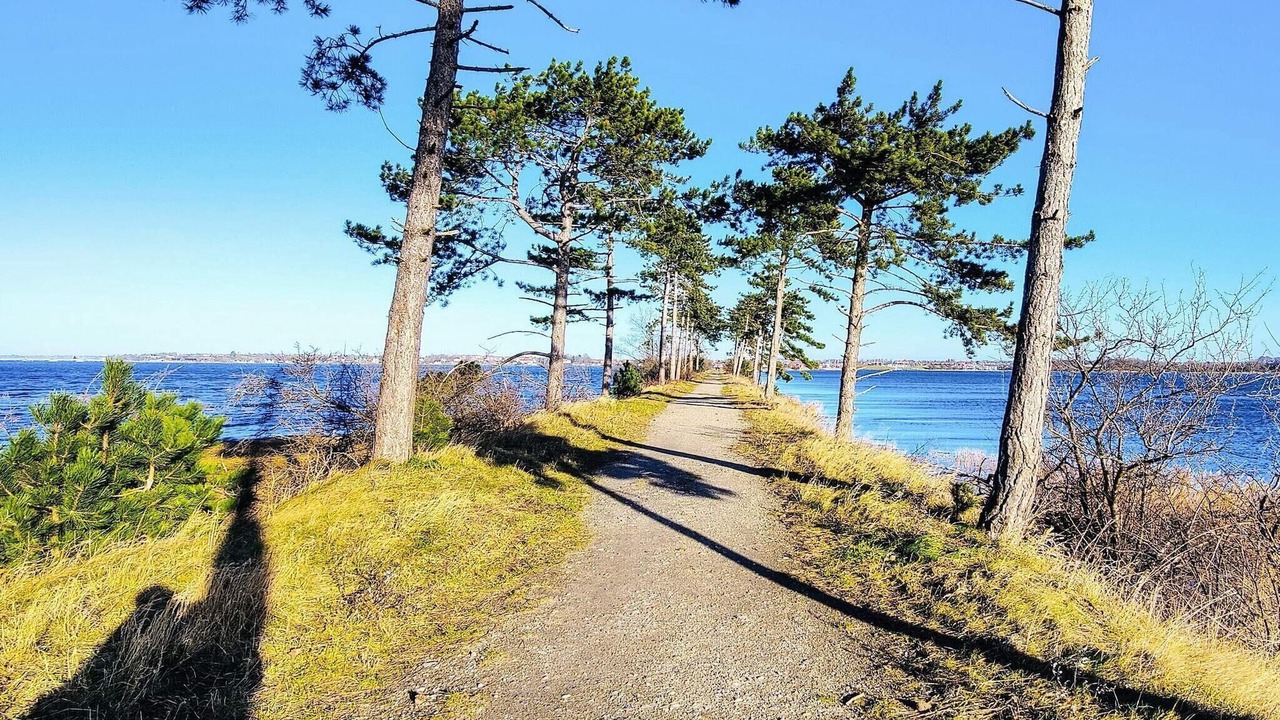Photo of Others in Jægerspris