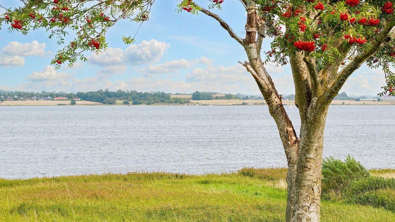 Photo of Outdoor in Jægerspris