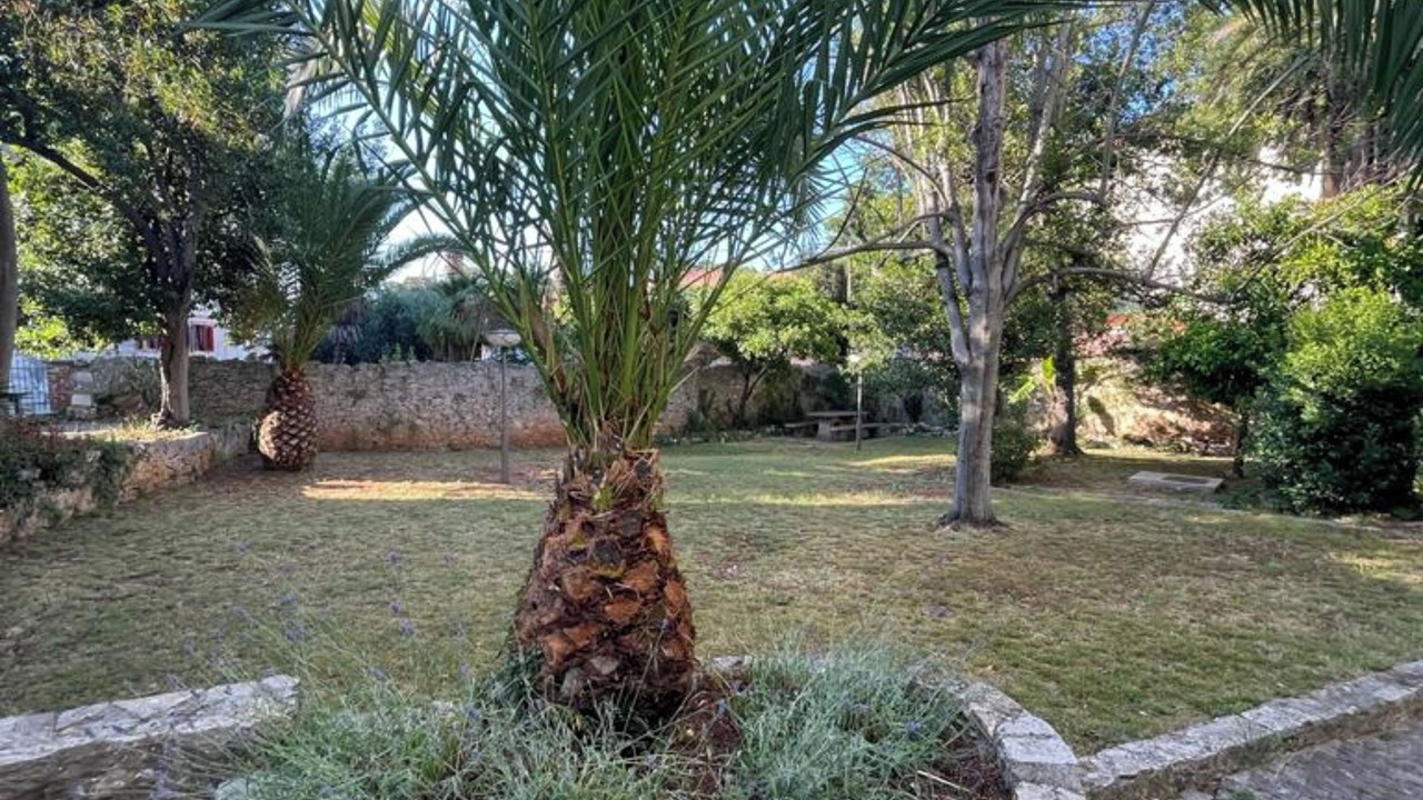 Photo of Outdoor in Veli Losinj