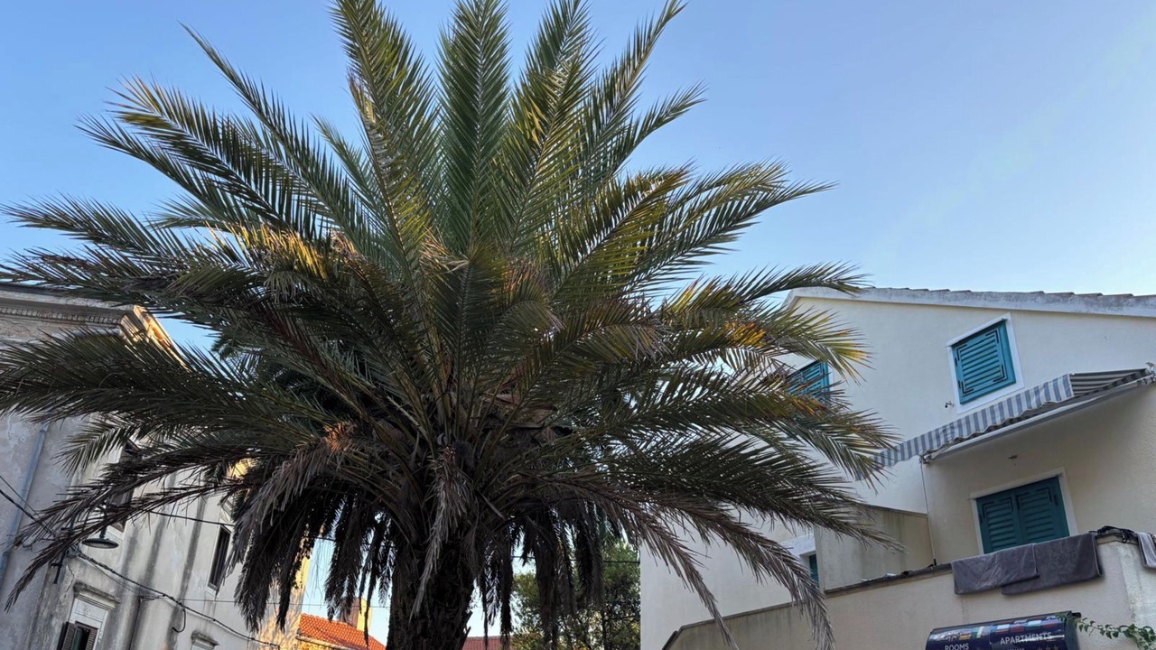 Photo of Outdoor in Veli Losinj