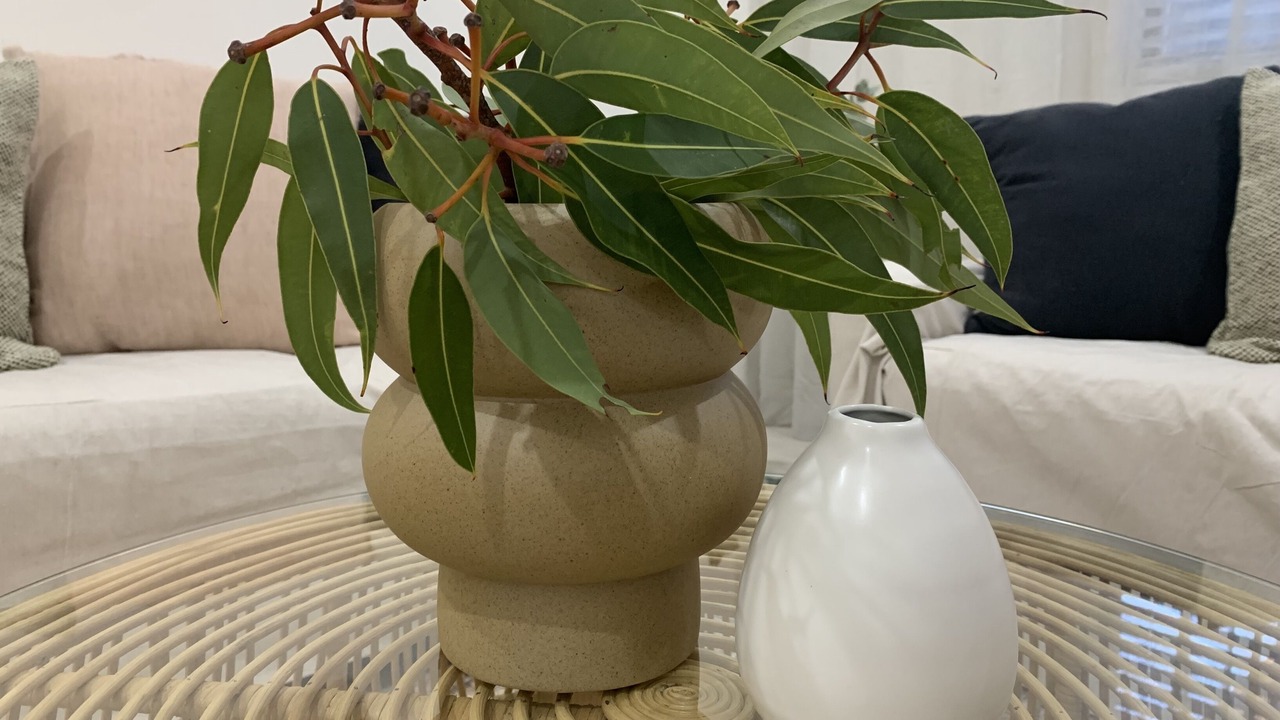 Photo of Others in Morpeth