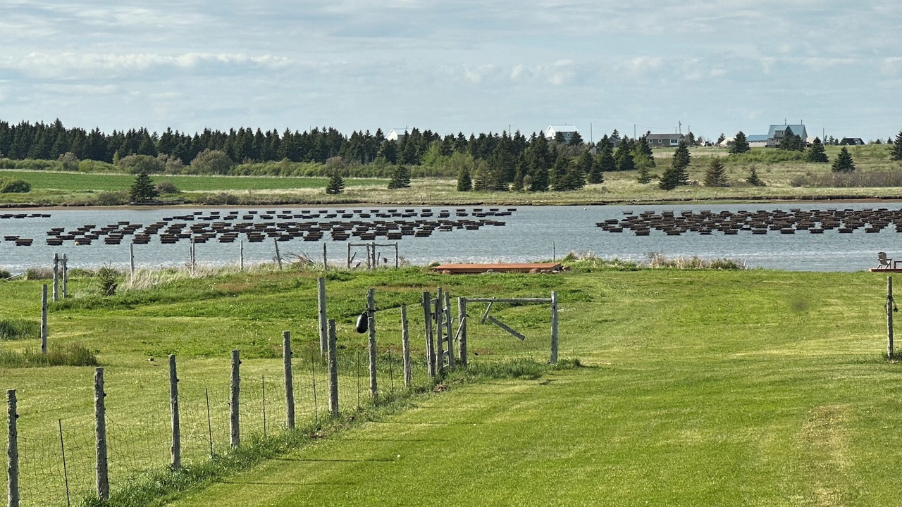 Photo of Others in Cymbria