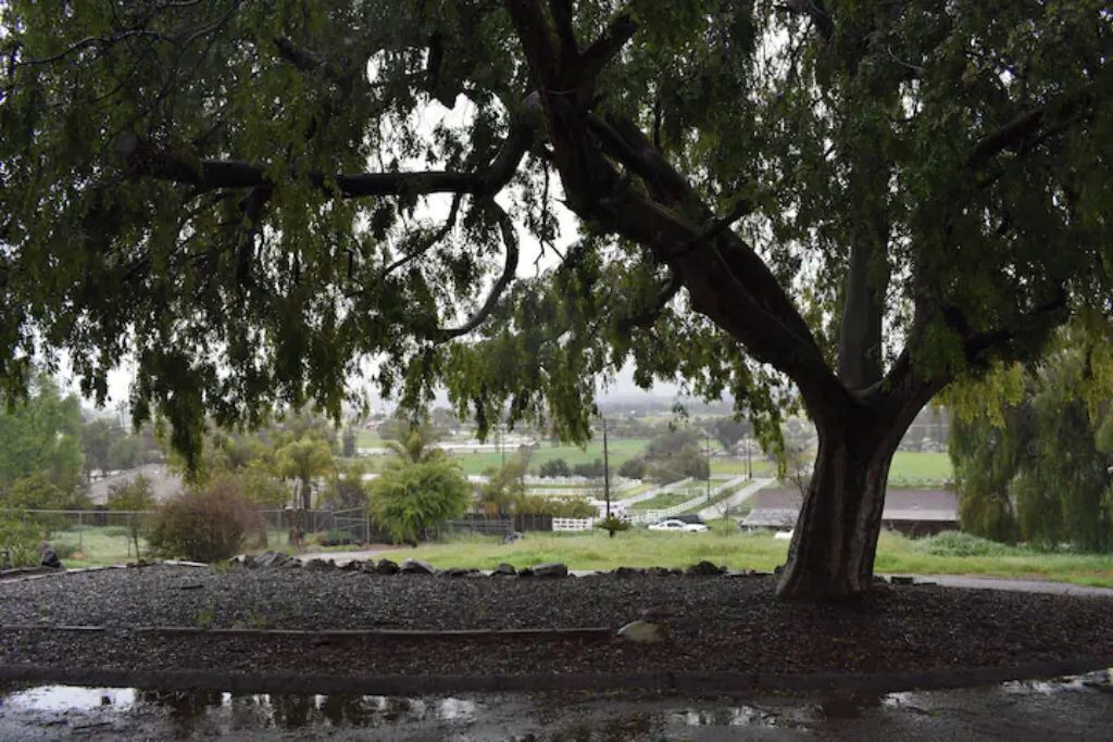 Photo of Outdoor in Ramona