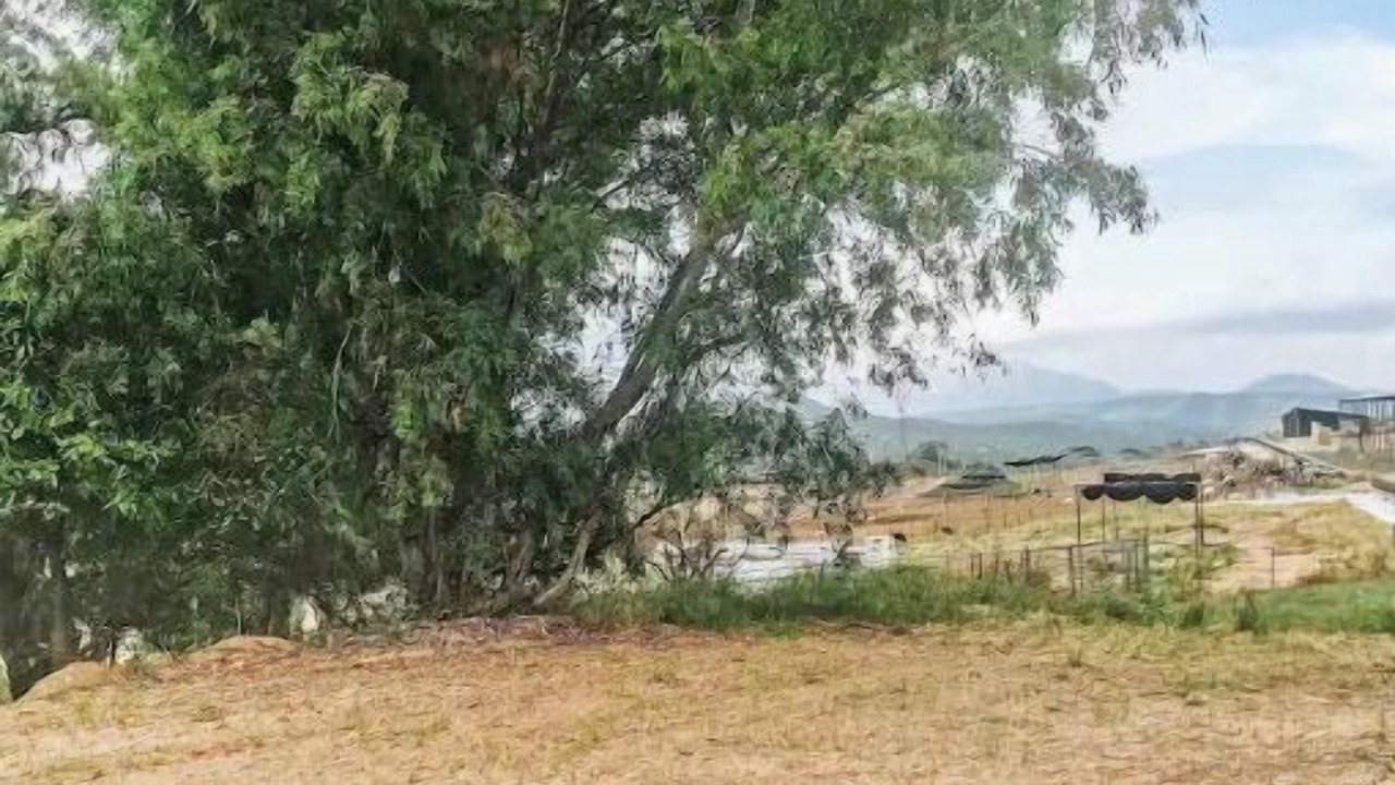 Photo of Outdoor in Ramona