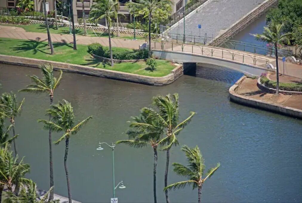 Photo of Outdoor in Waikiki