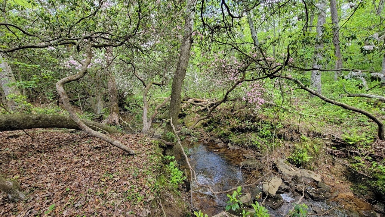 Photo of Outdoor in Mentone