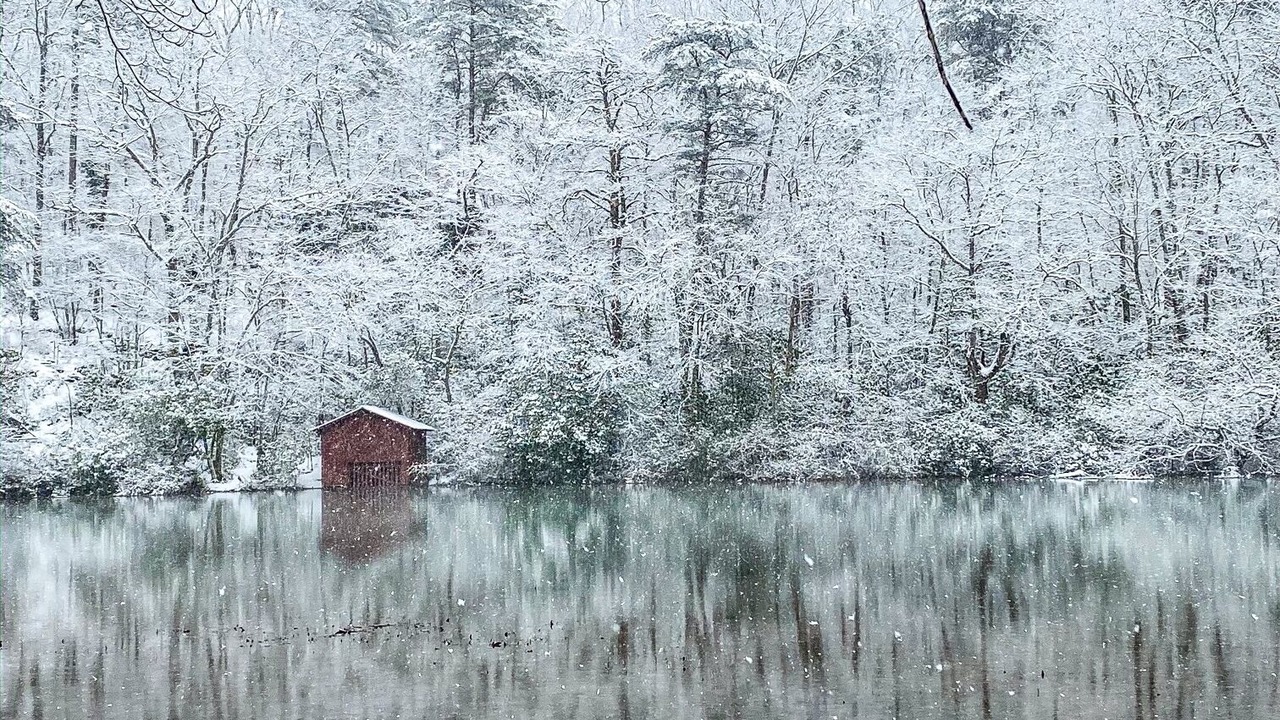 Photo of Others in Mentone