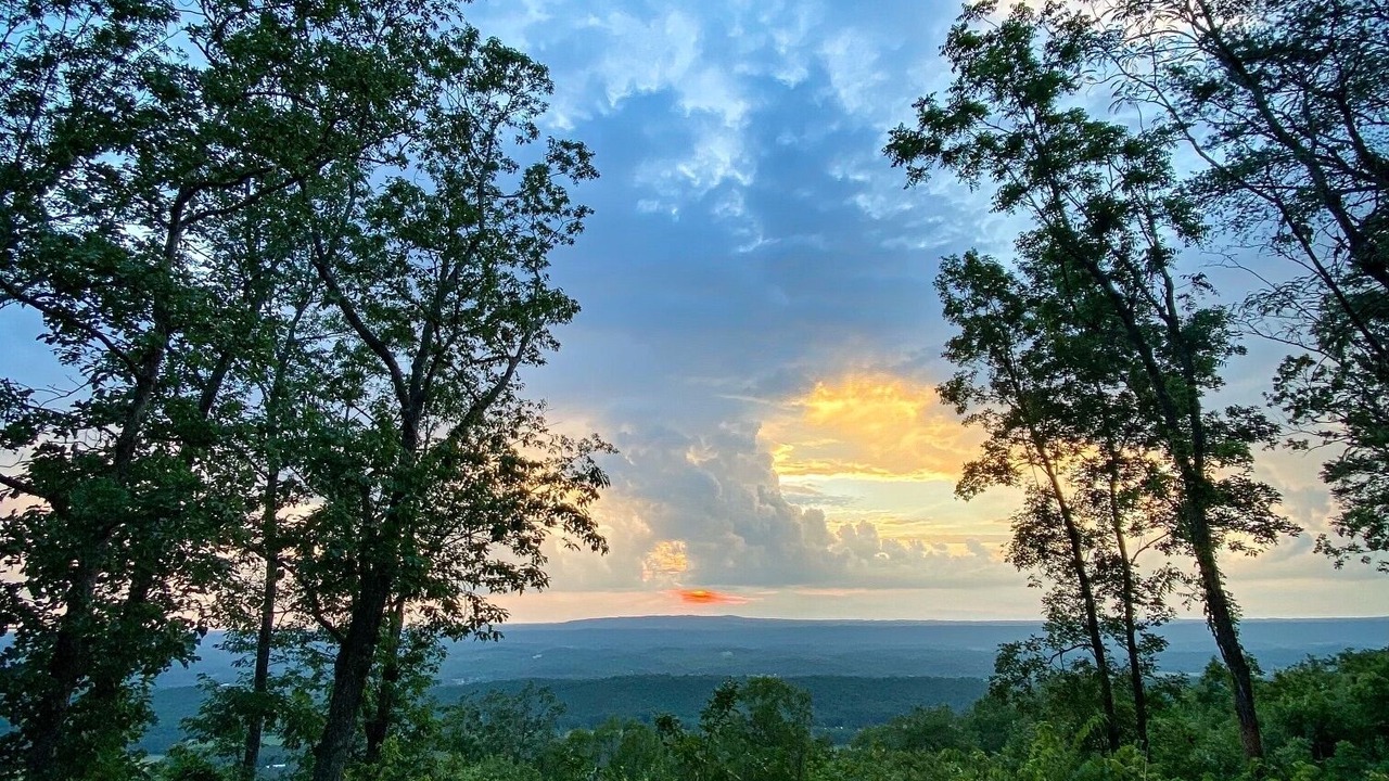 Photo of Others in Mentone