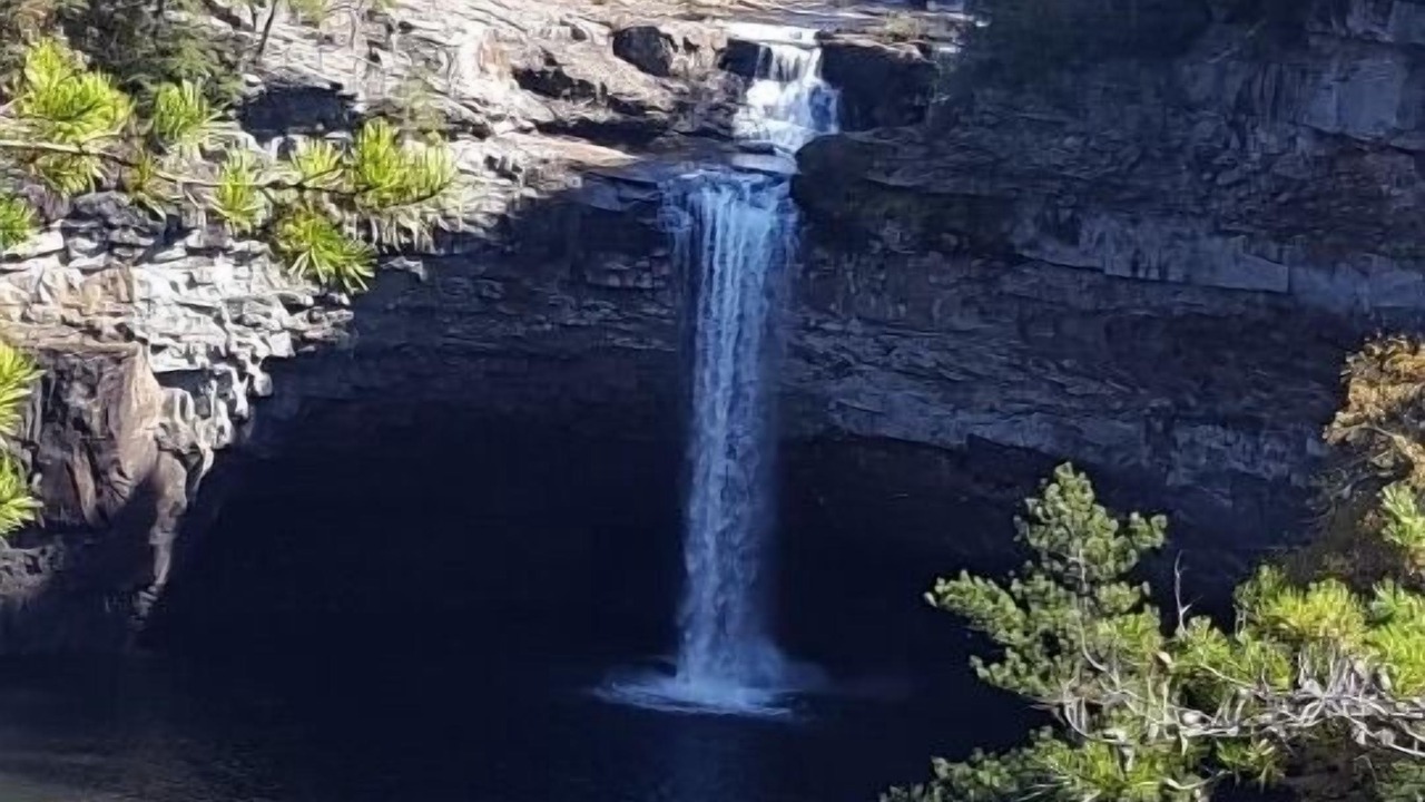 Photo of Others in Mentone
