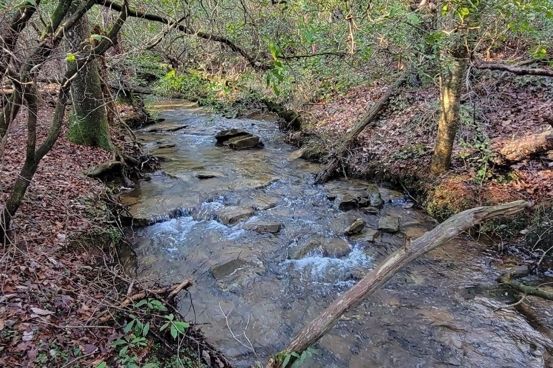 Photo of Outdoor in Mentone