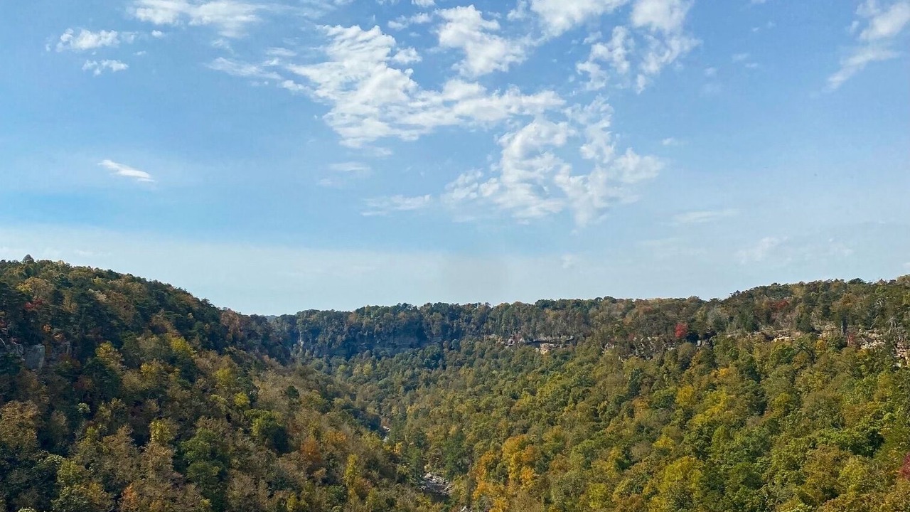 Photo of Others in Mentone