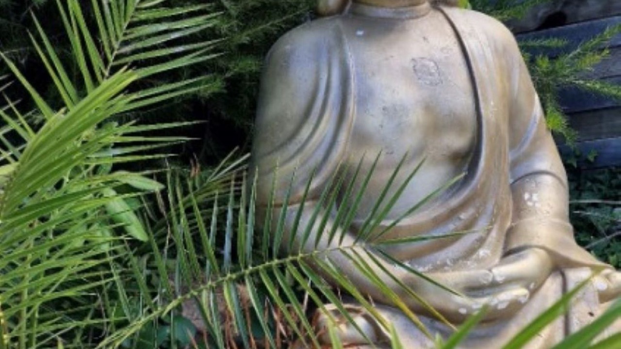 Photo of Outdoor in Marseillan