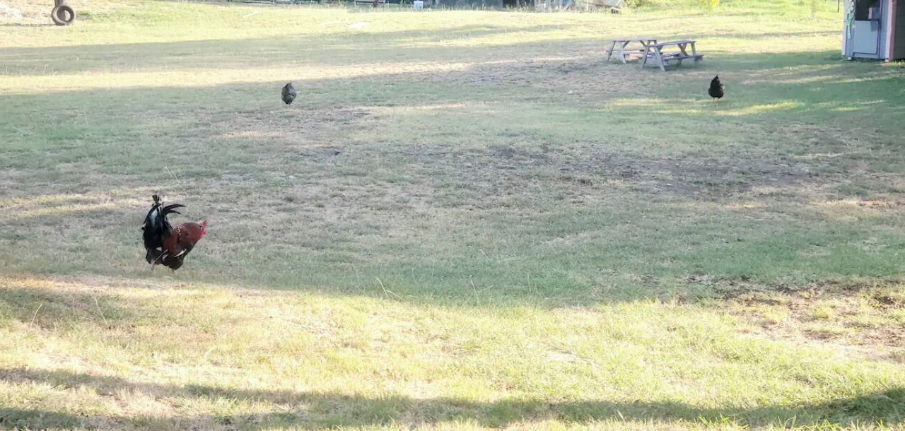 Photo of Outdoor in Killeen
