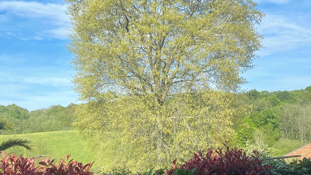 Photo of Others in Briscous