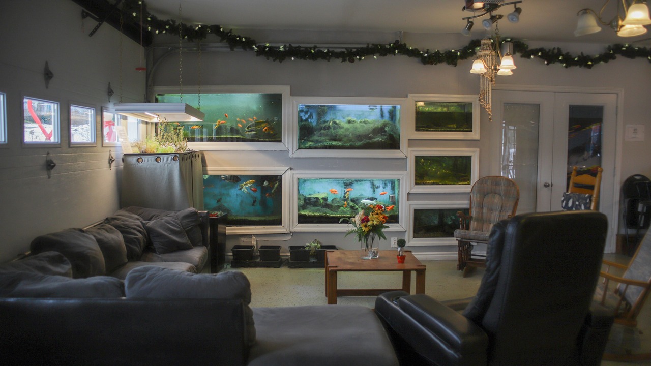 Photo of Livingroom in Lac Sainte-Marie