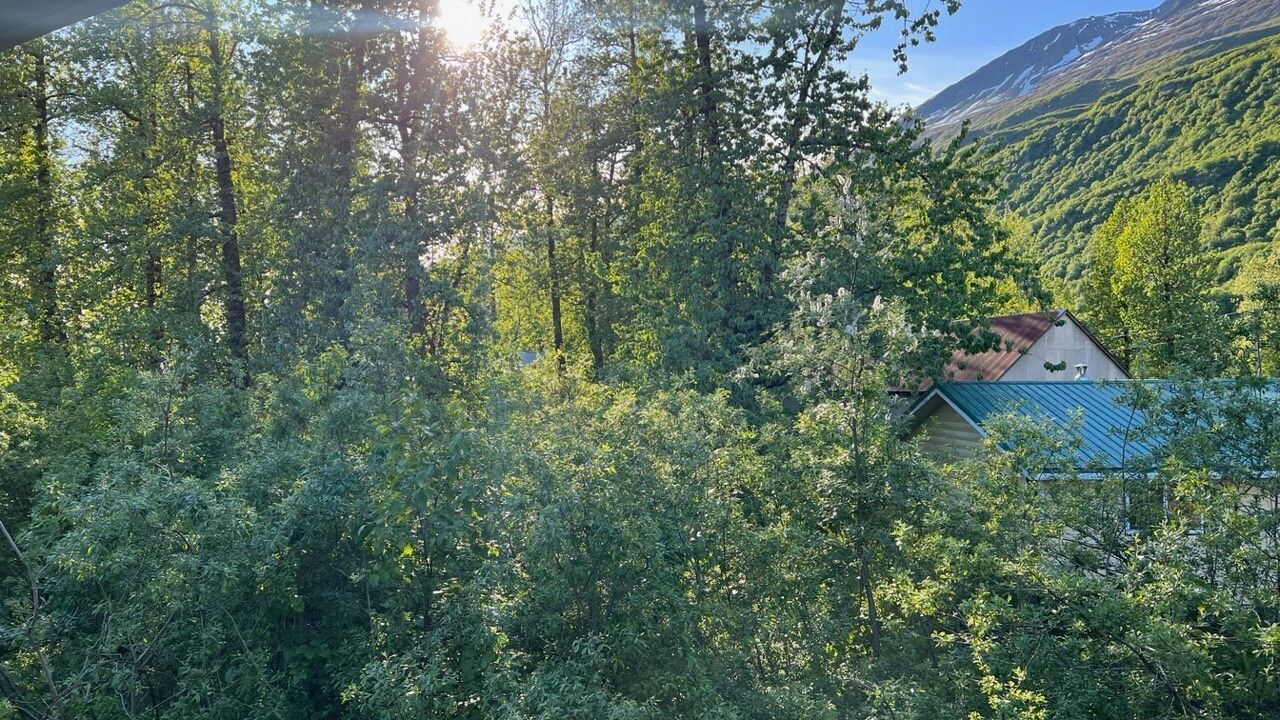 Photo of Others in Valdez