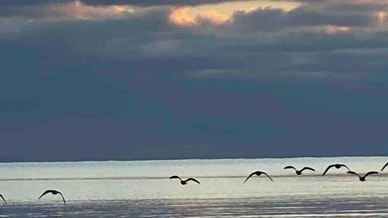 Photo of Others in Fort Erie