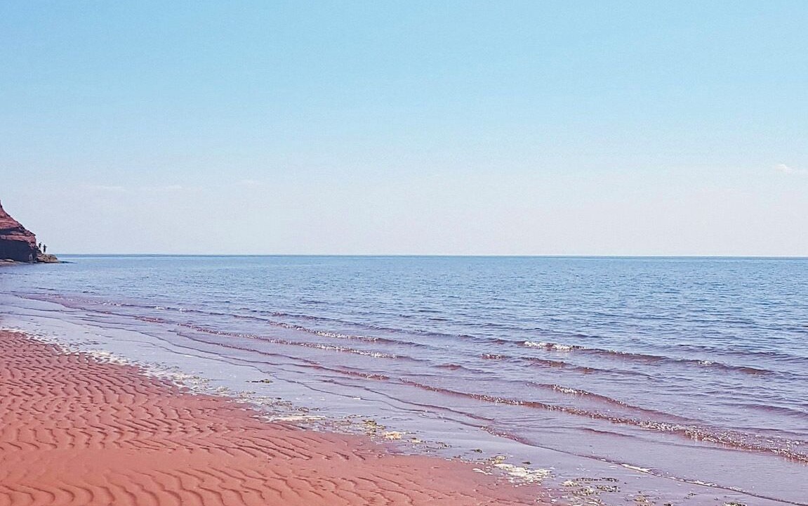 Photo of Others in DeSable