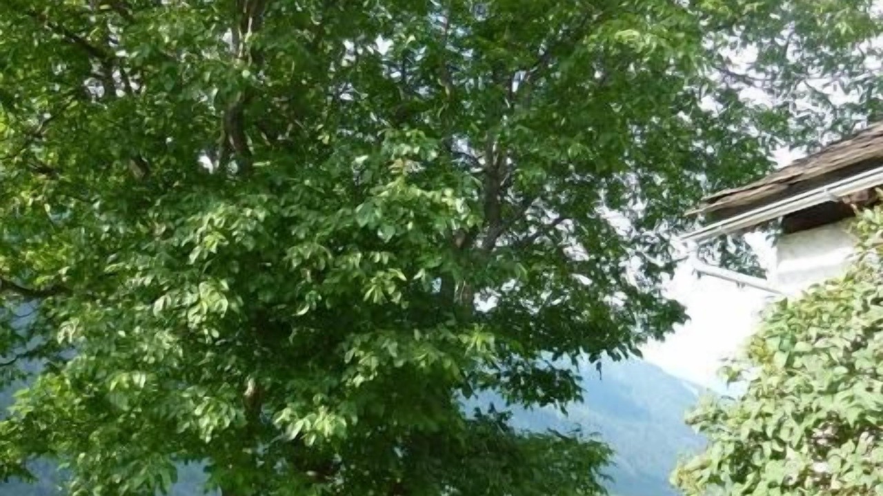 Photo of Others in Bregaglia