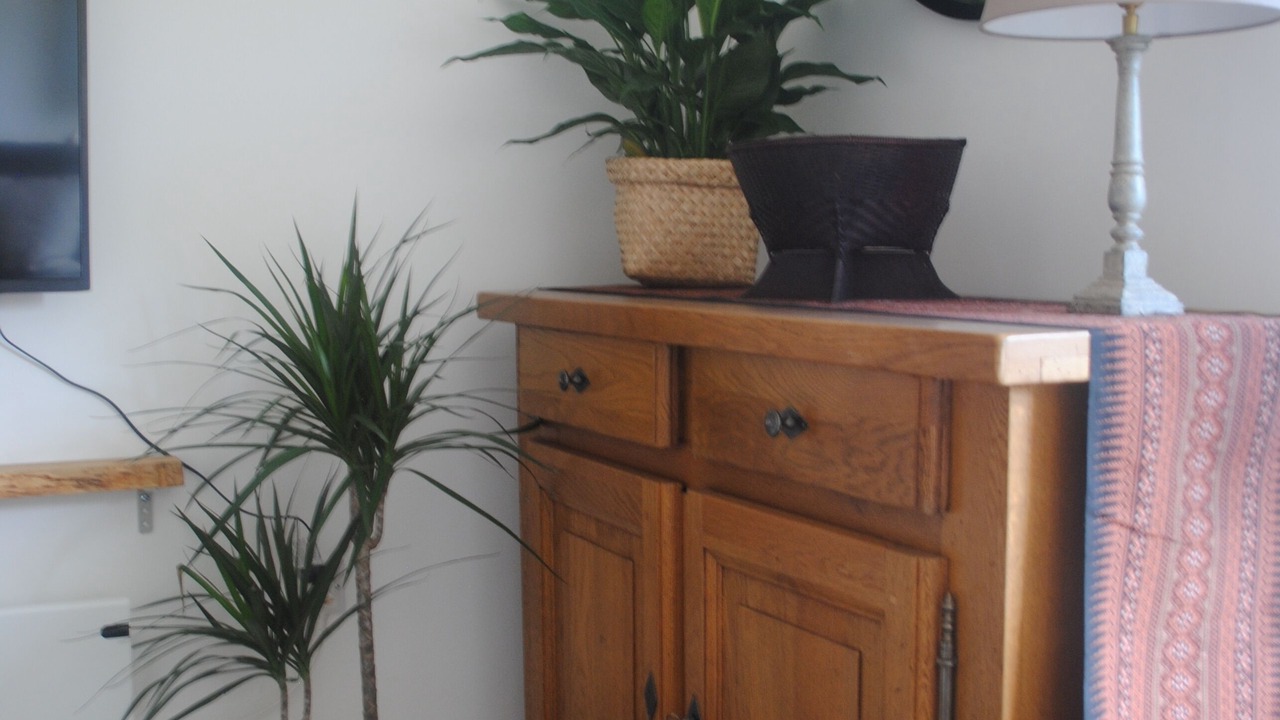 Photo of Others in Honiton