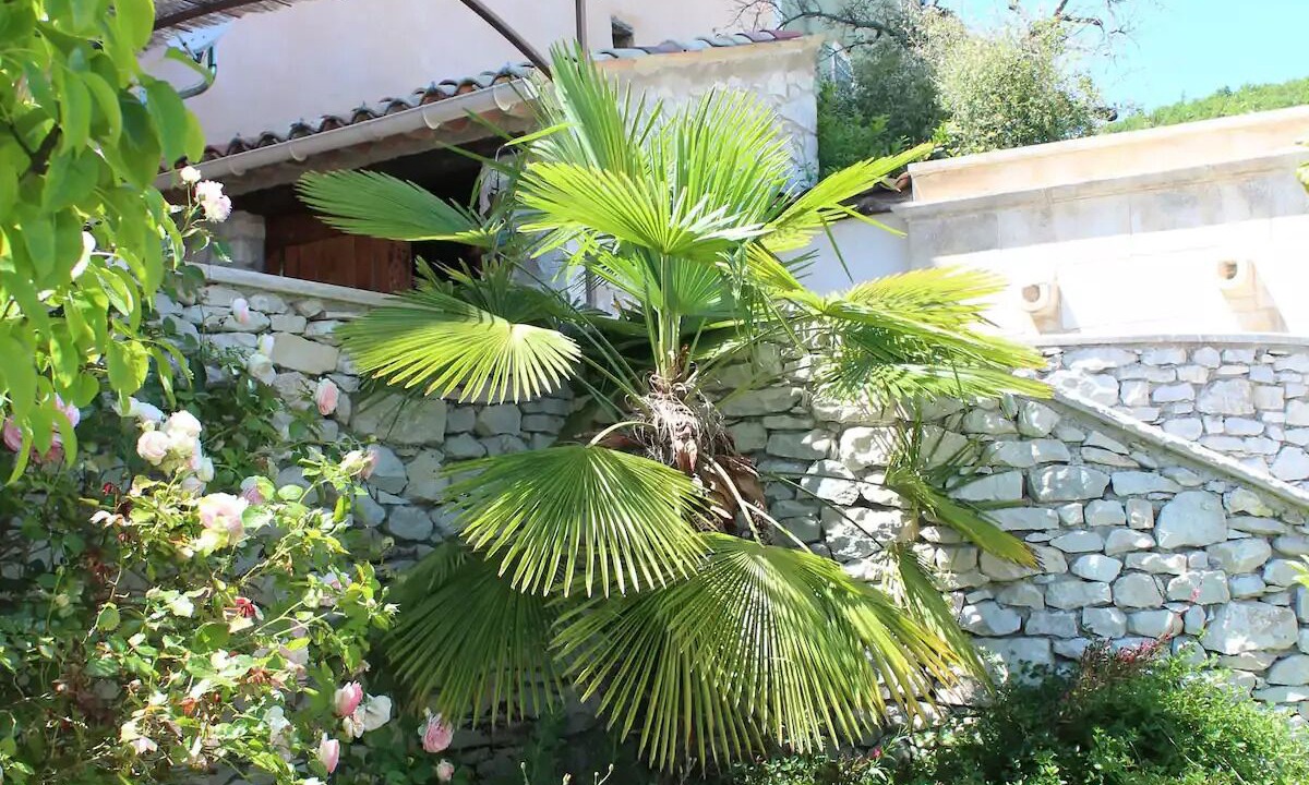 Photo of Outdoor in Banon