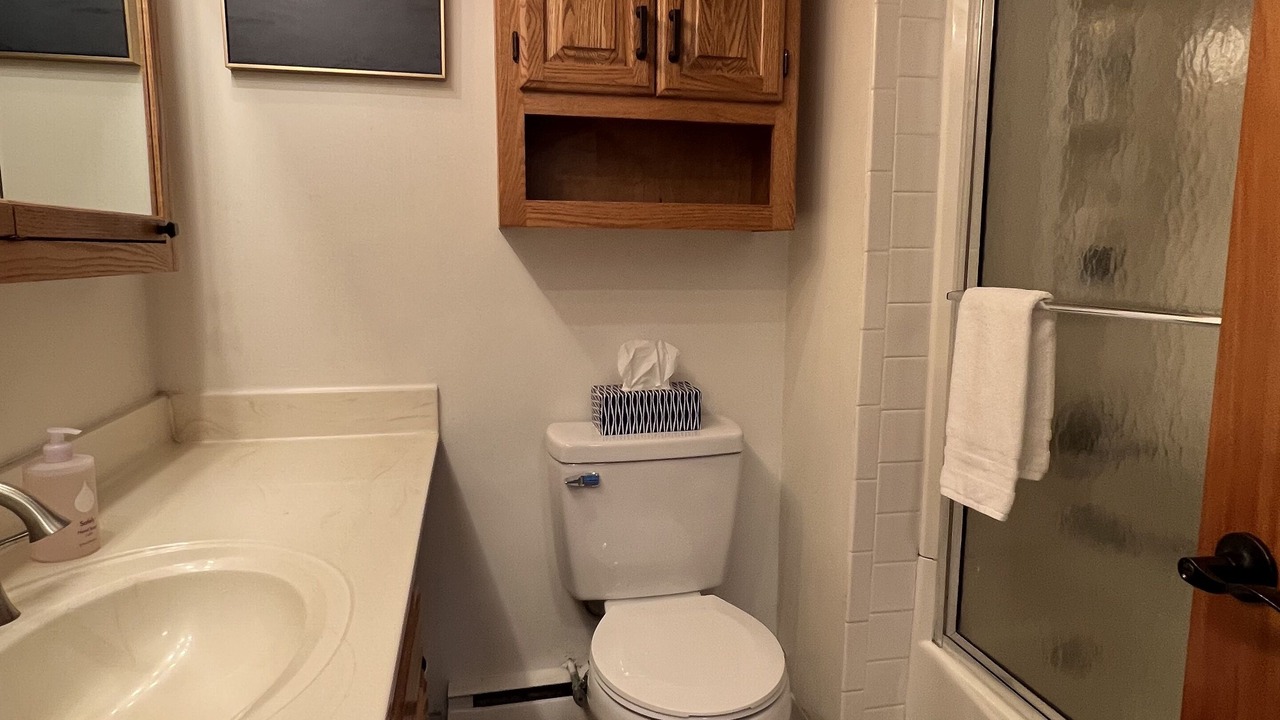 Photo of Bathroom in Paw Paw Lake
