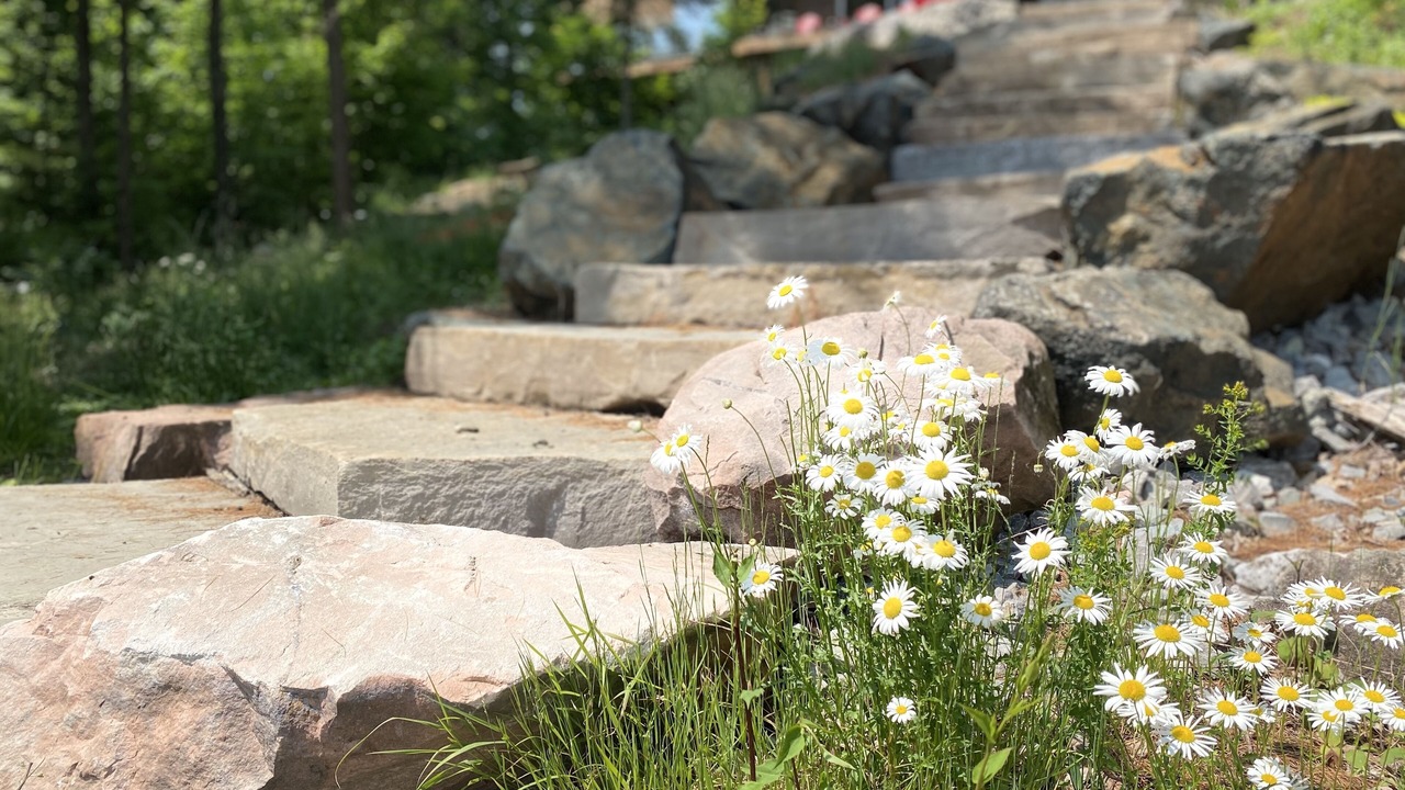 Photo of Outdoor in Trent Lakes