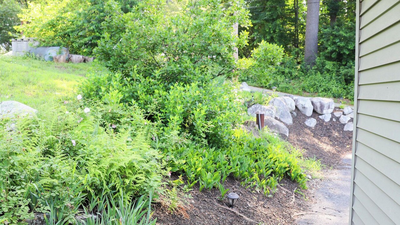 Photo of Outdoor in Windham