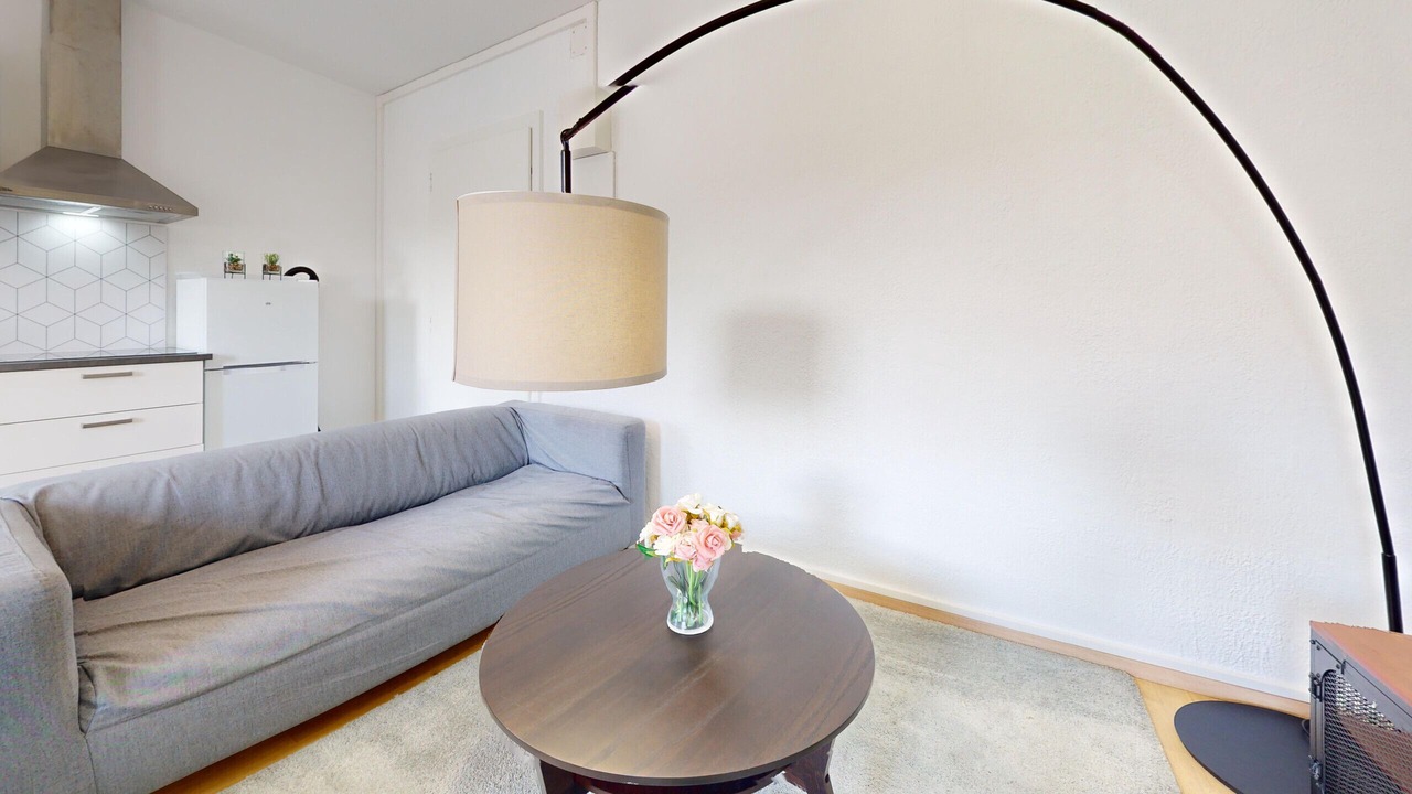 Photo of Livingroom in Mulhouse