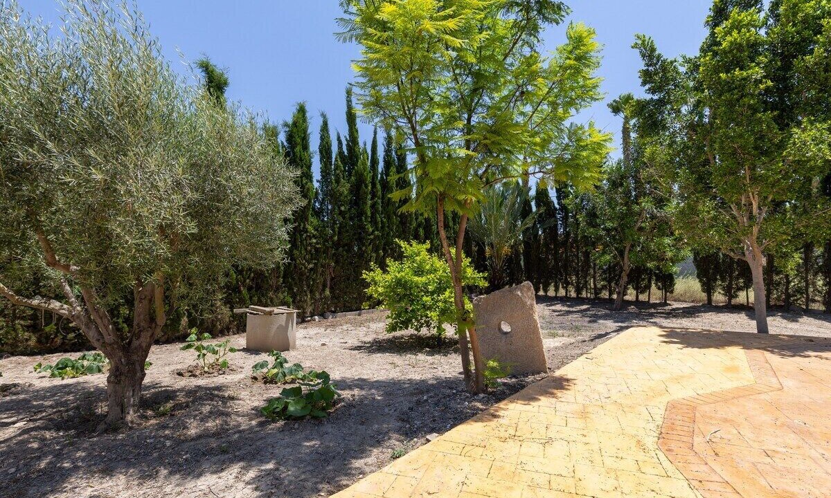 Photo of Outdoor in Catral
