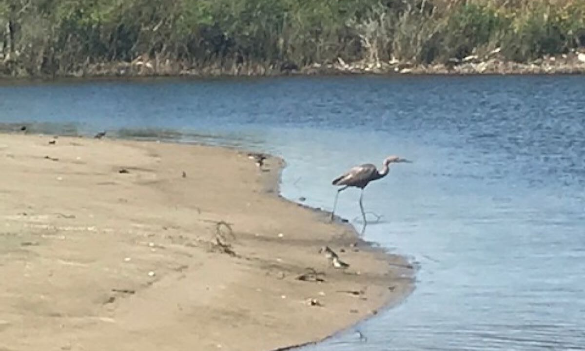 Photo of Others in Lakeview  Jefferson County