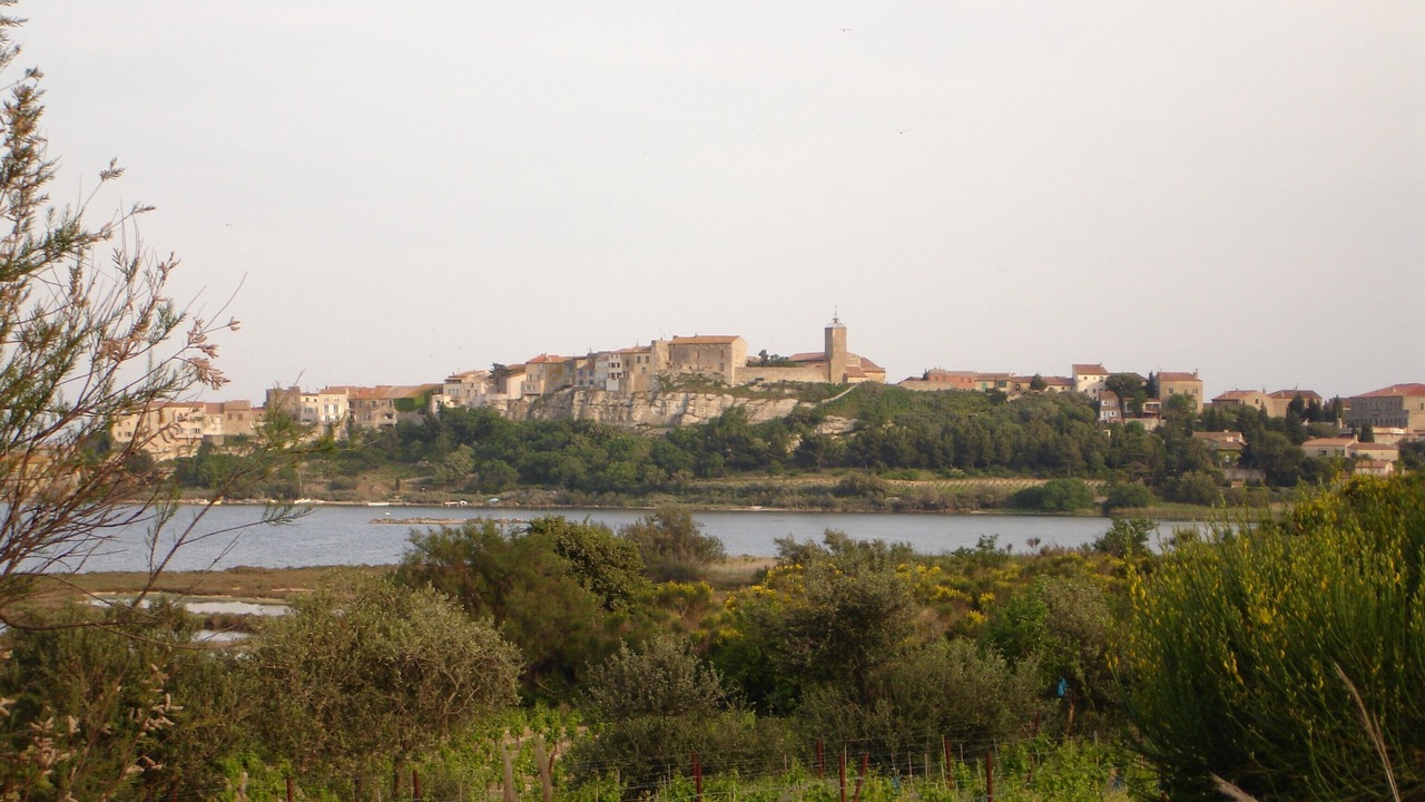 Photo of Others in Bages