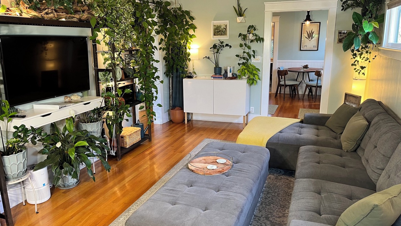 Photo of Livingroom in North Park