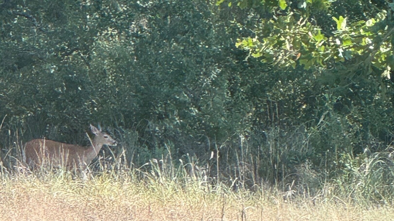 Photo of Others in Graham