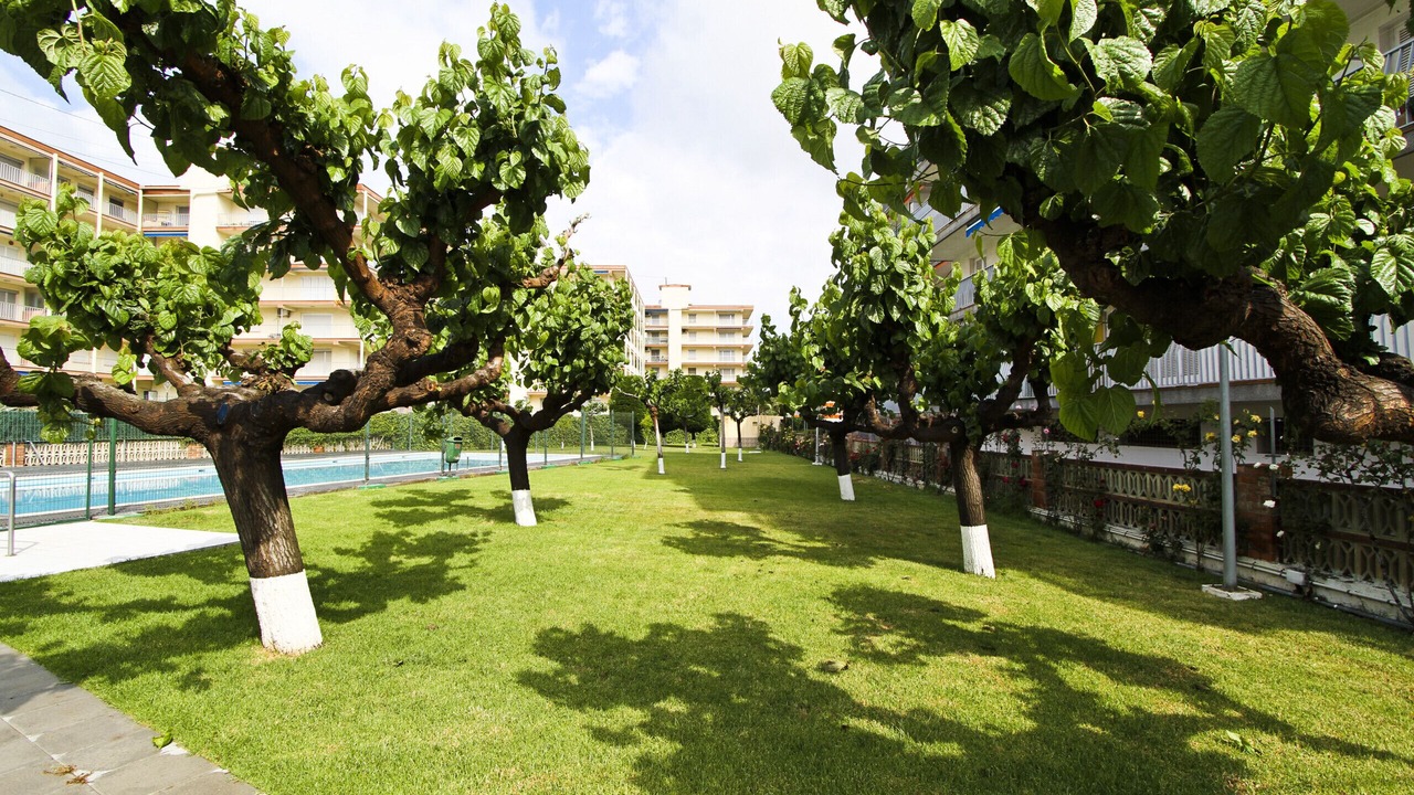 Photo of Outdoor in La Pineda