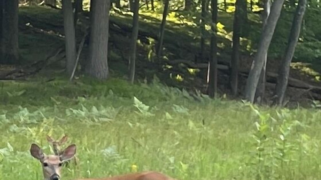 Photo of Others in Stanwood