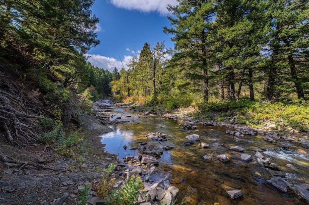 Photo of Others in East Glacier Park