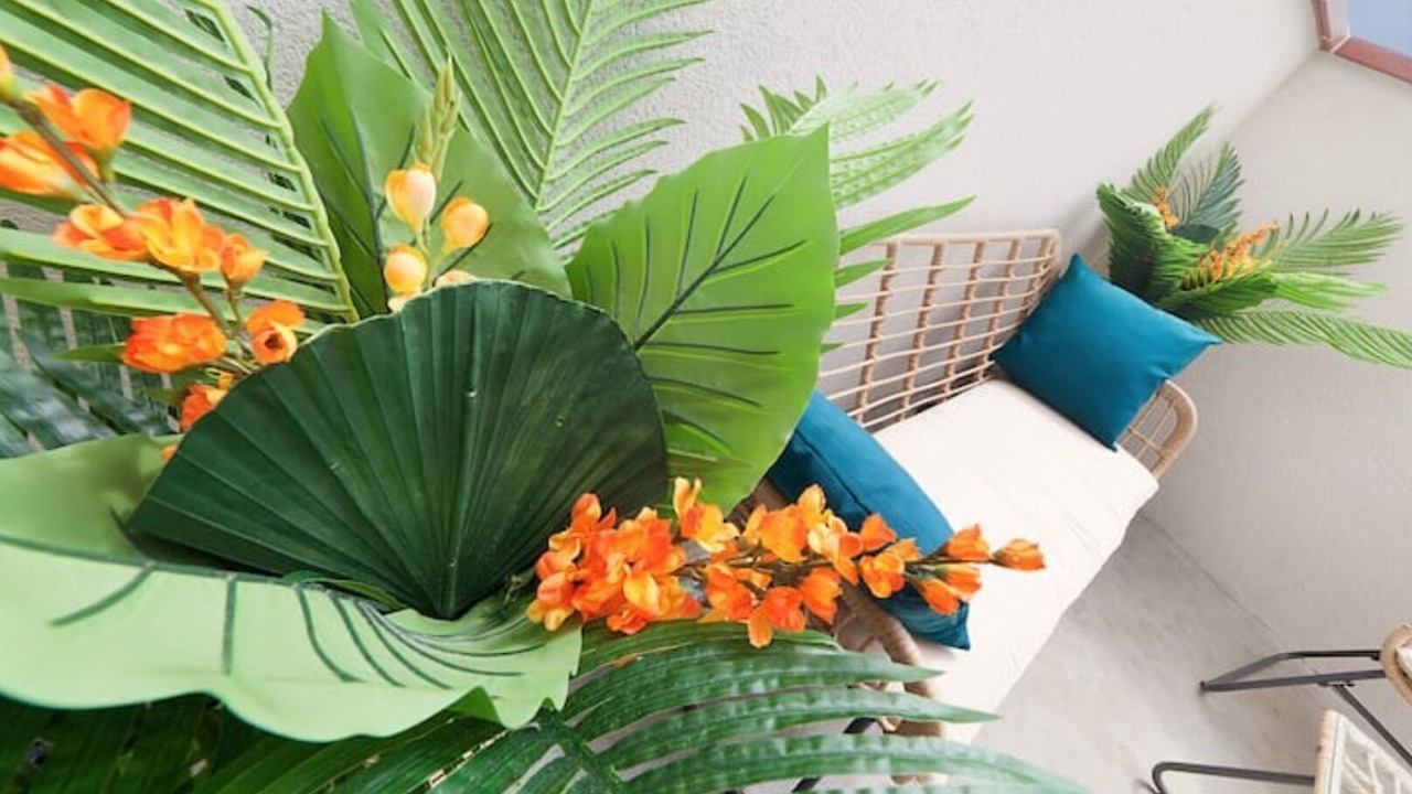 Photo of Outdoor in Lavaur