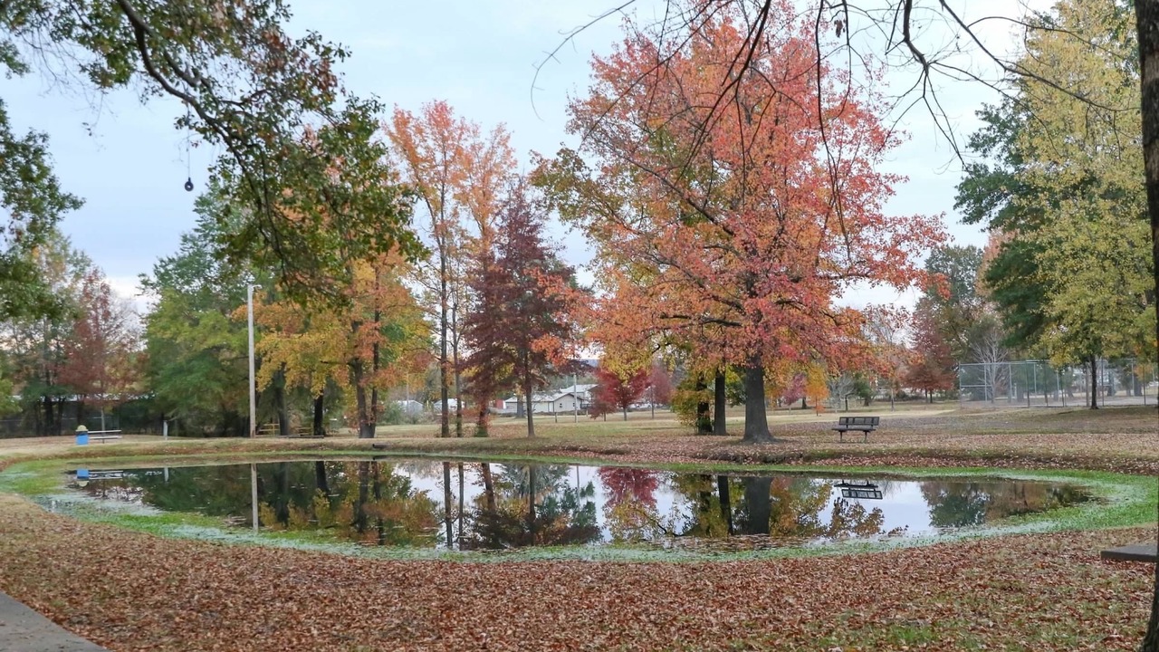 Photo of Others in Clarksville