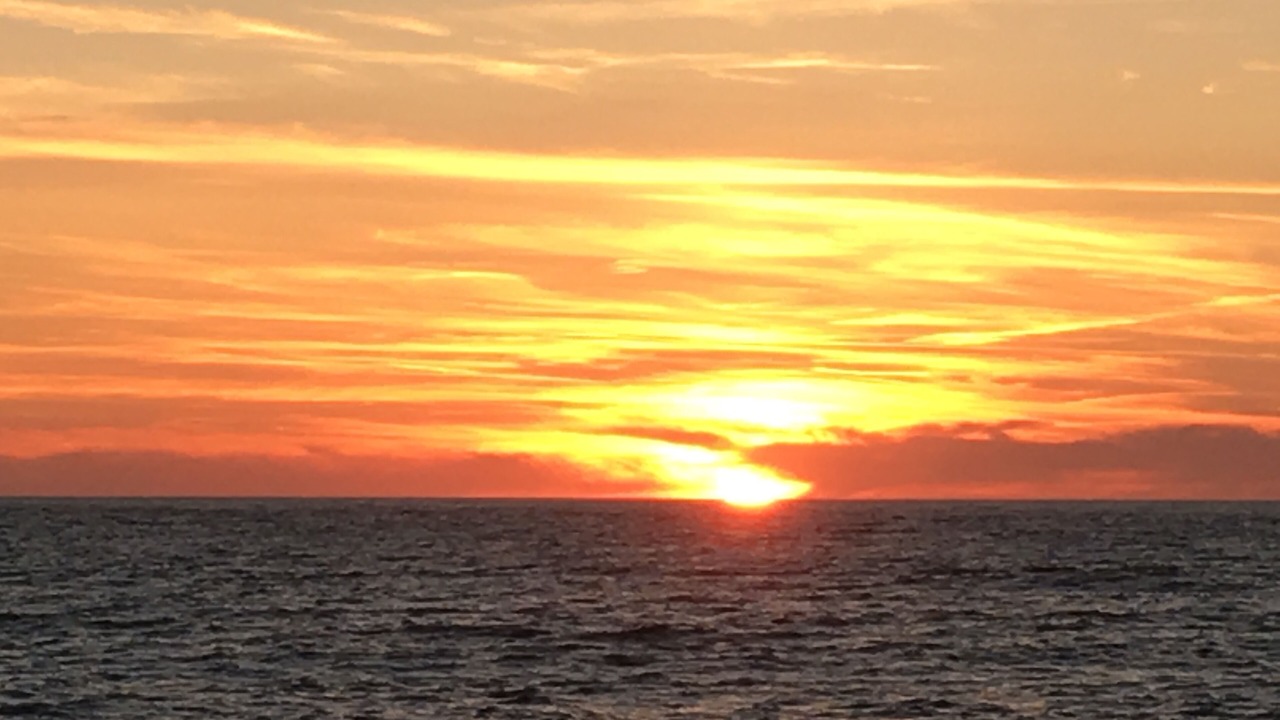 Photo of Others in Veulettes-sur-Mer