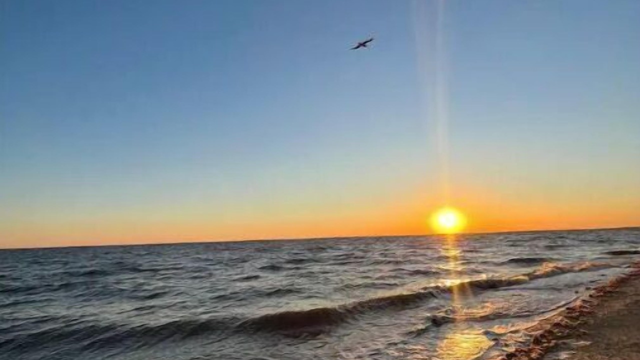 Photo of Others in Downe