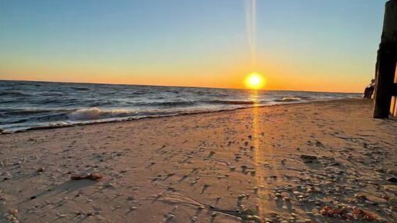 Photo of Others in Downe