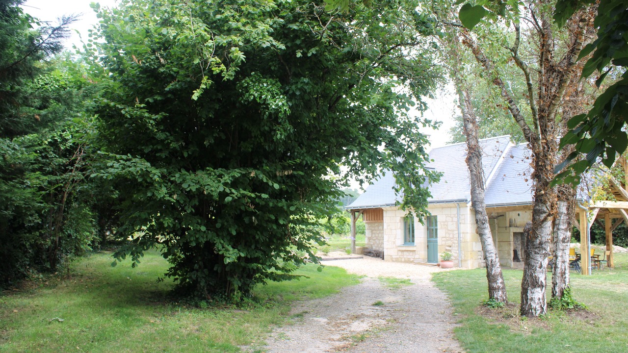 Photo of Outdoor in Bourgueil