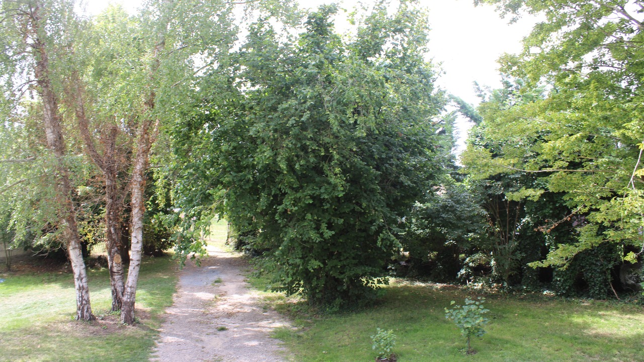 Photo of Outdoor in Bourgueil