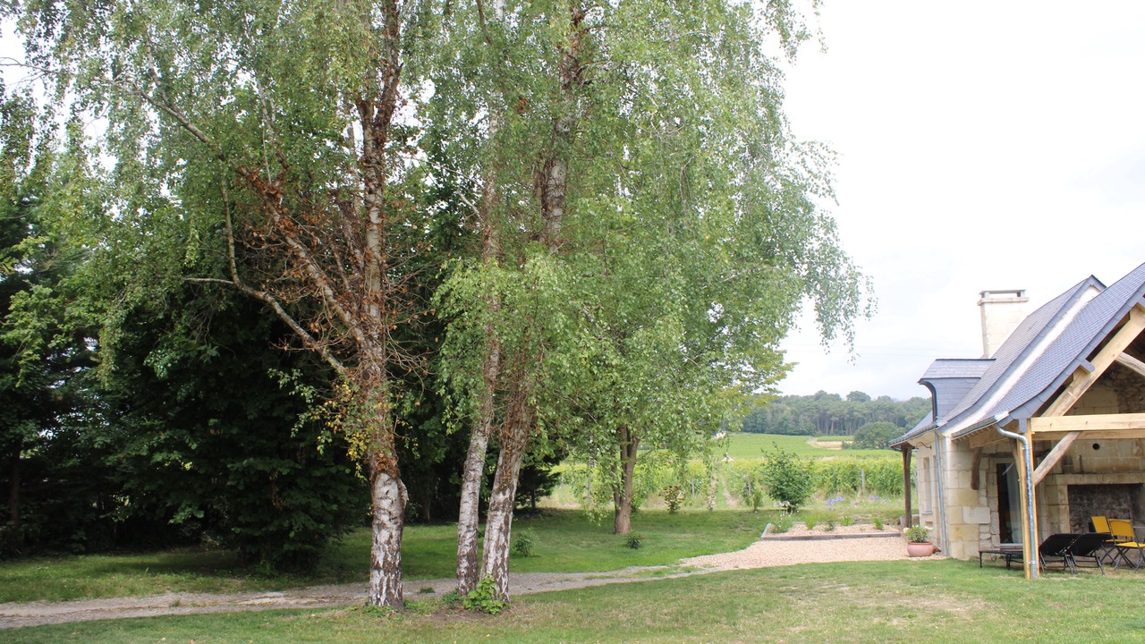 Photo of Outdoor in Bourgueil