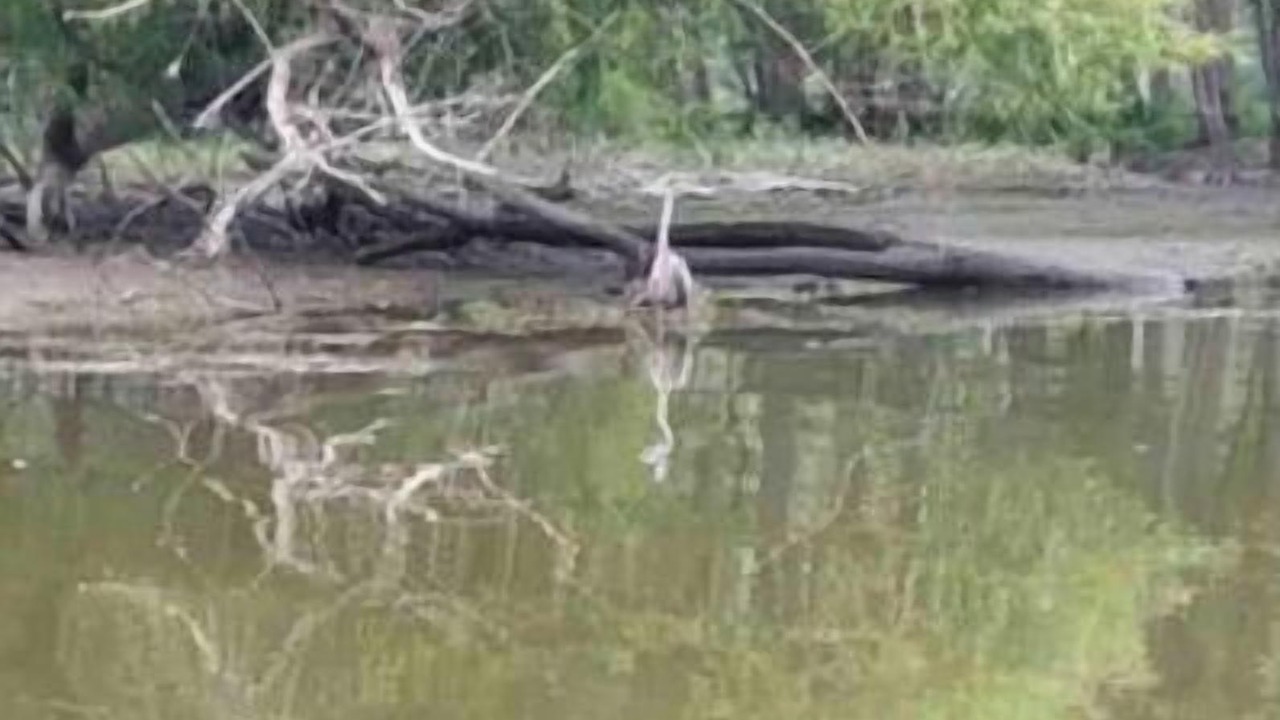 Photo of Outdoor in Rockwood
