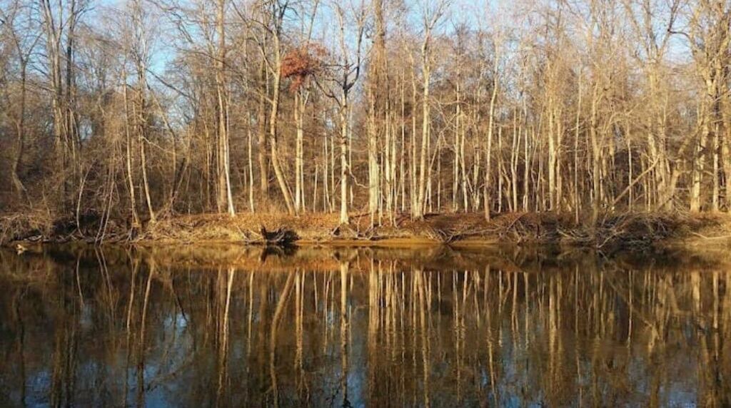 Photo of Others in Rockwood