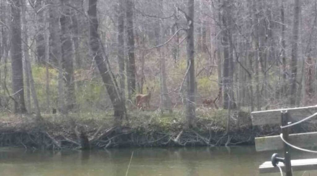 Photo of Others in Rockwood