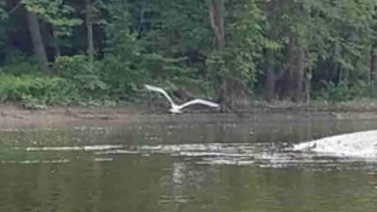Photo of Outdoor in Rockwood